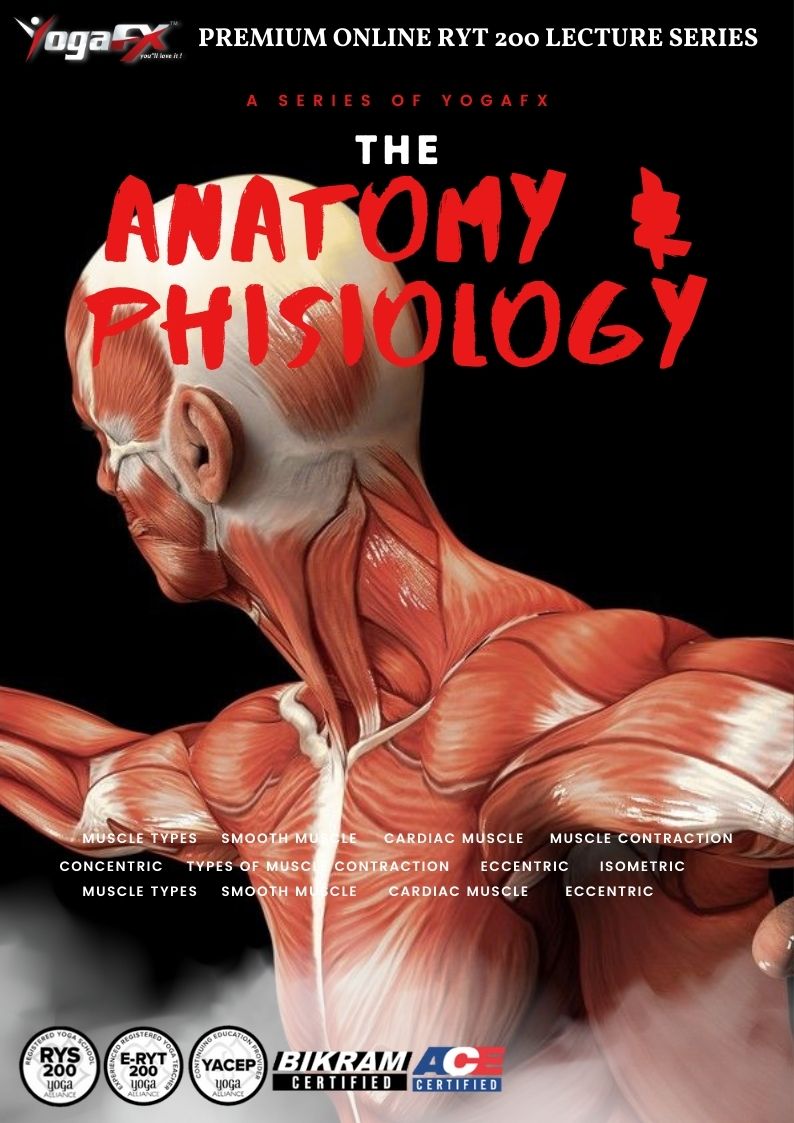 Anatomy and Physiology