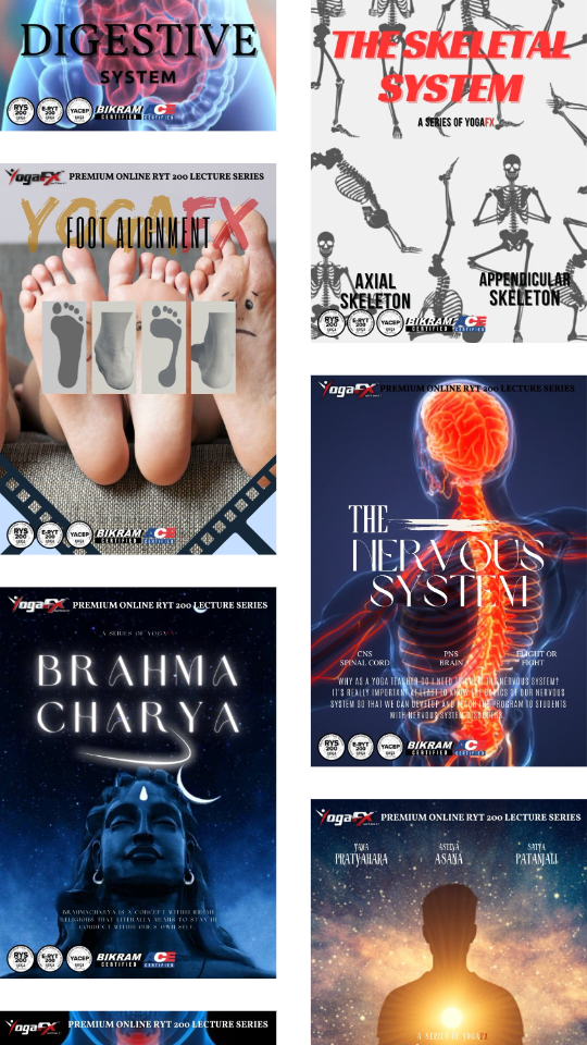 YogaFX online course content